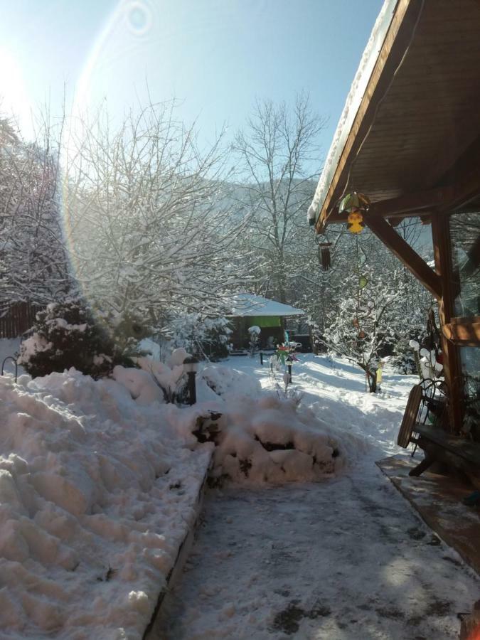 Casa Natalia Ξενοδοχείο Μπρασόβ Εξωτερικό φωτογραφία