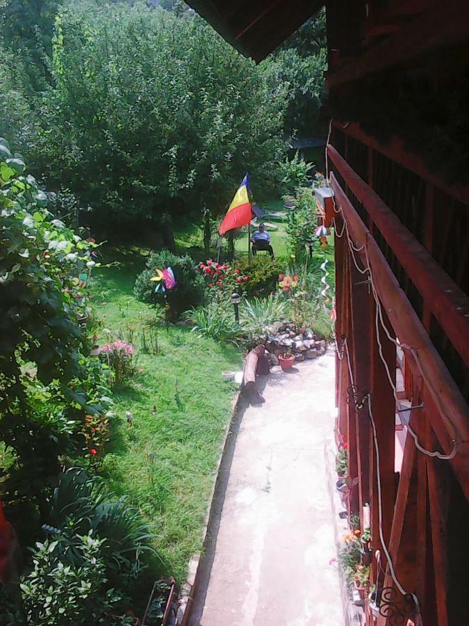 Casa Natalia Ξενοδοχείο Μπρασόβ Εξωτερικό φωτογραφία
