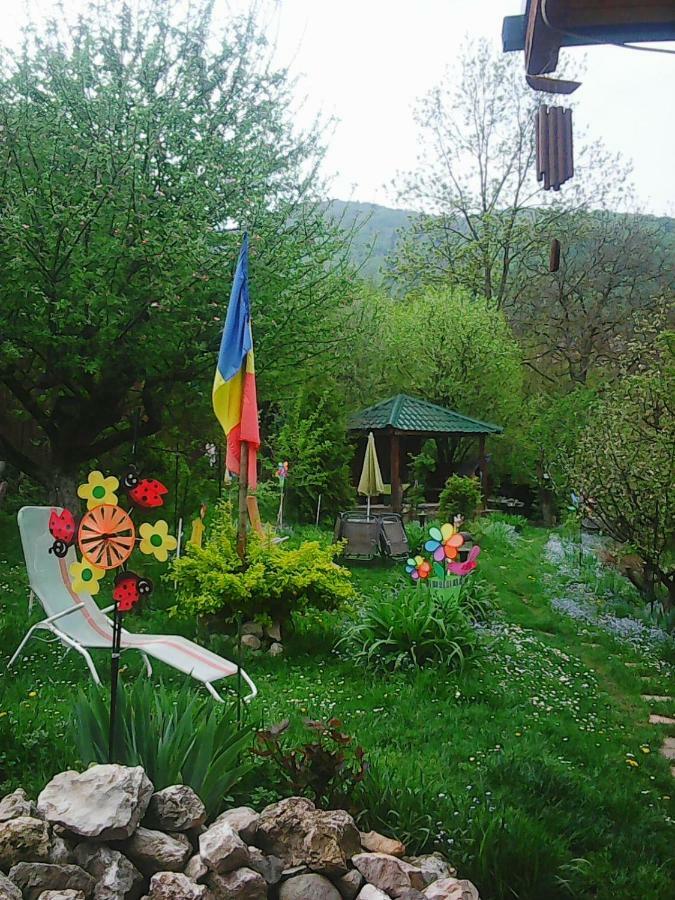 Casa Natalia Ξενοδοχείο Μπρασόβ Εξωτερικό φωτογραφία