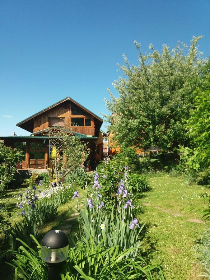 Casa Natalia Ξενοδοχείο Μπρασόβ Εξωτερικό φωτογραφία